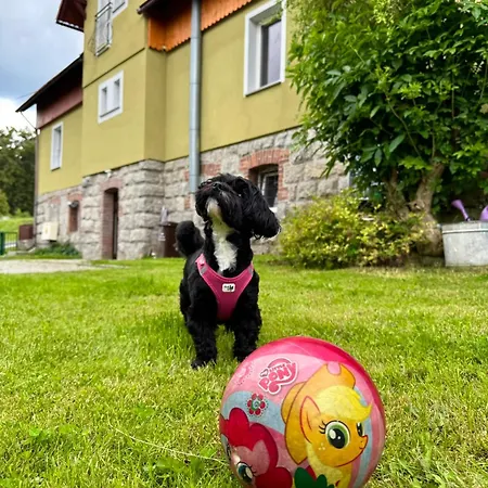 Albion Apartmán Sklářská Poruba